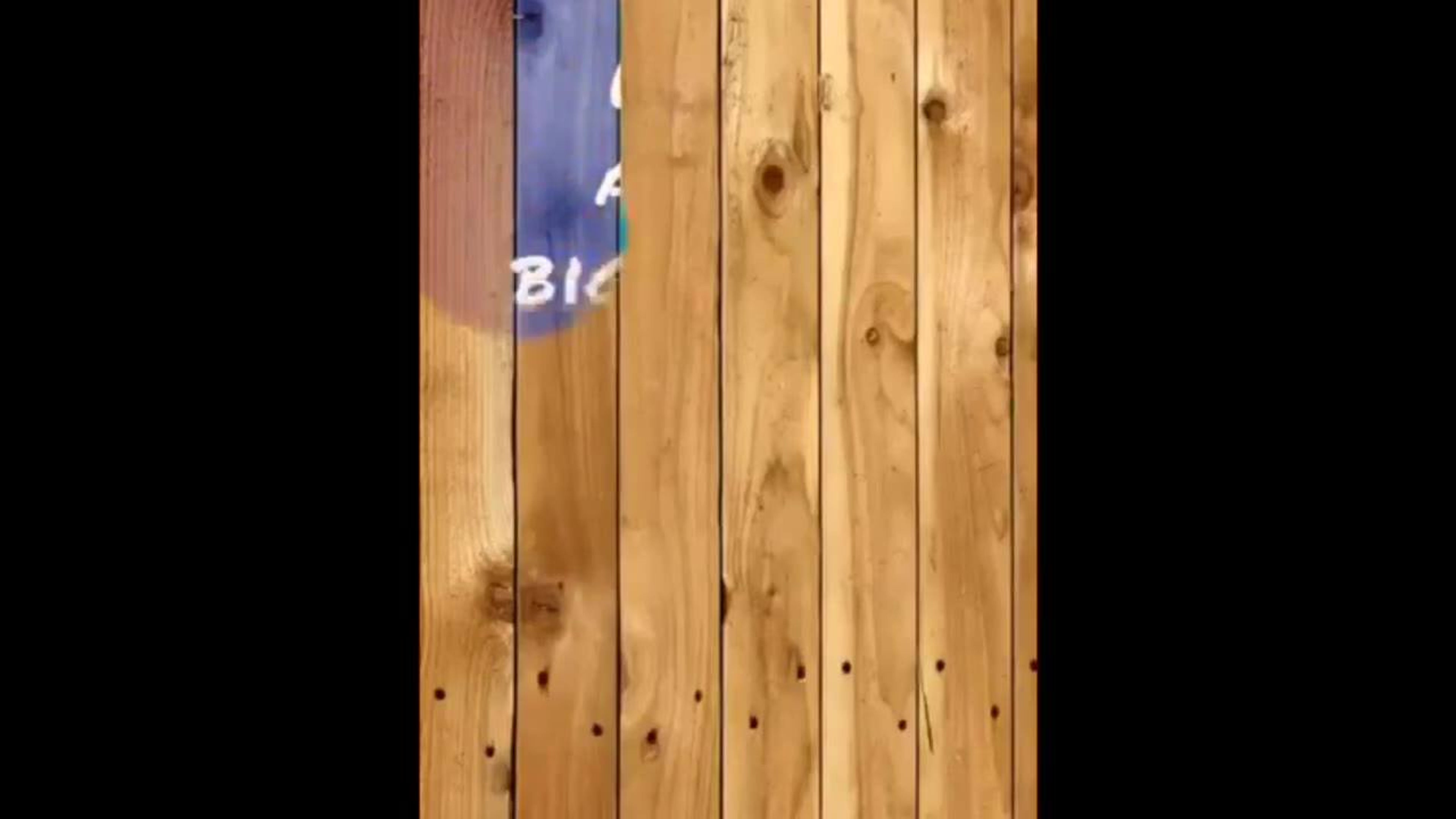 All Videos